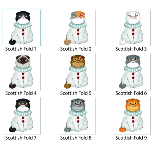 Scottish Fold Part 1