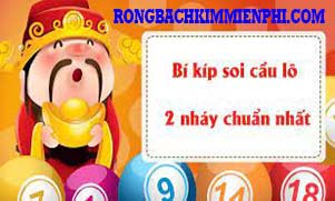 cau-lo-2-nhay-xanh-180-300.jpg