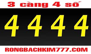 3-cang-4-so-do-182-302.jpg