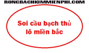 soi-cau-lo-bach-thu-mien-bac-den-182-302.jpg