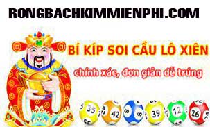 soi-cau-lo-xien-2-den-183-303.jpg