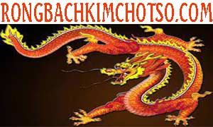 soi-cau-rong-bach-kim-chot-so-do-180-300.jpg