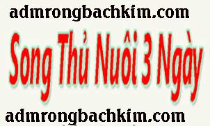 song-thu-lo-khung-3-ngay-182-302.jpg