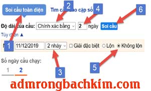 soi-cau-rong-bach-kim-do-181-301.jpg