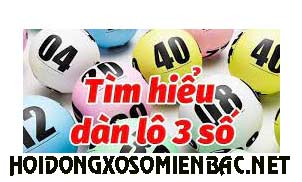 dan-lo-3-so-den-182-302.jpg
