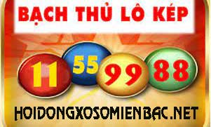 lo-kep-den-181-301.jpg