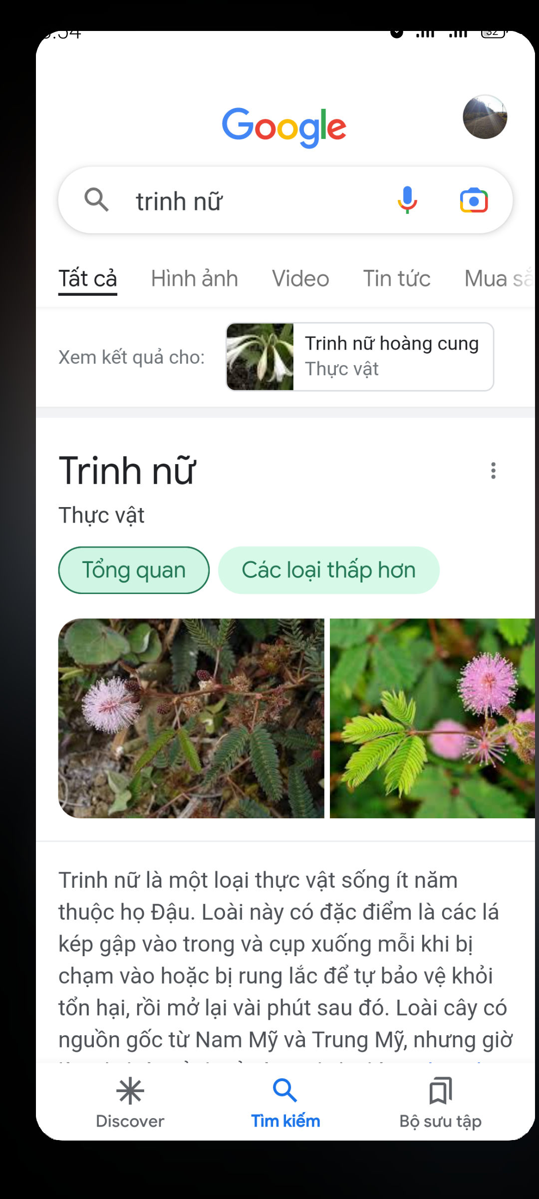 Screenshot_20221020-135433.png