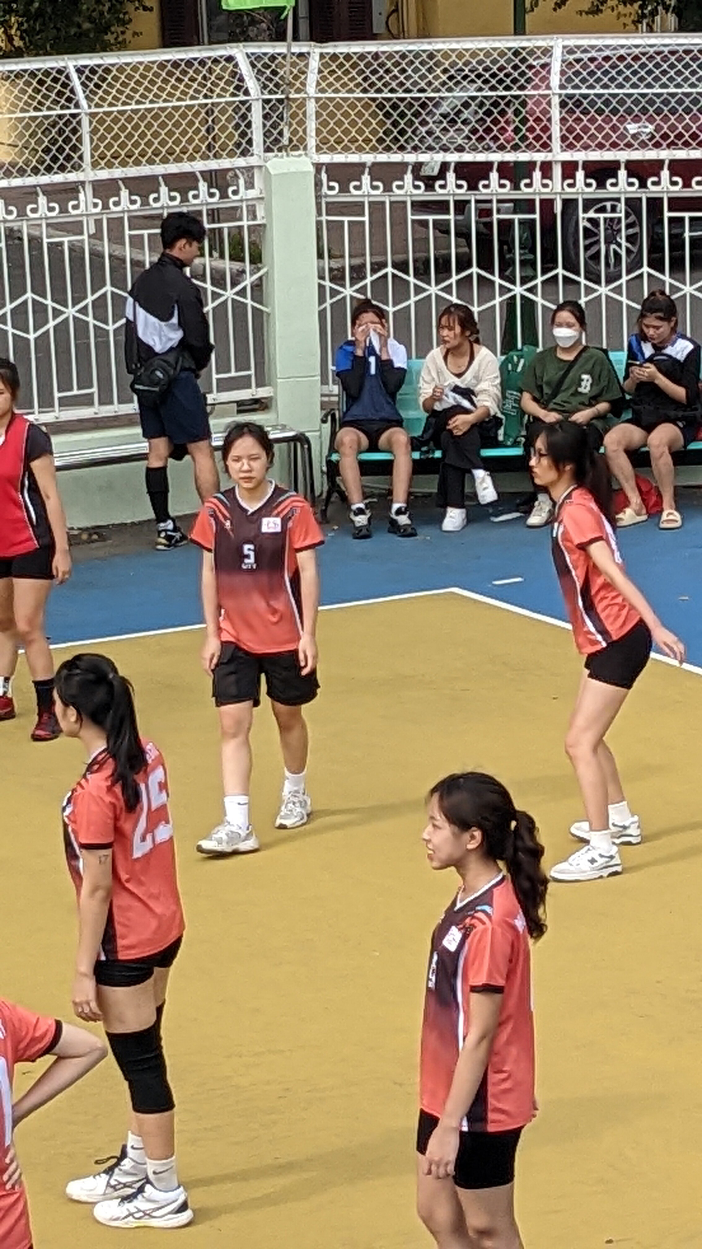 PXL_20221111_024123654.PORTRAIT.jpg