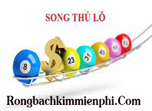 song-thu-lo-den-219-299.jpg
