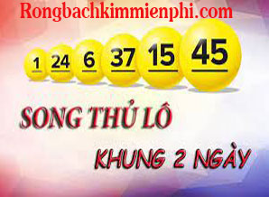song-thu-lo-khung-2-ngay-do-218-298.jpg