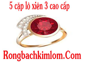 5-cap-lo-xien-3-do-218-298.jpg