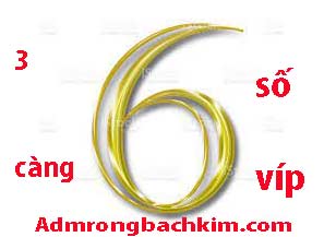 3-cang-6-so-vip-do-217-297.jpg