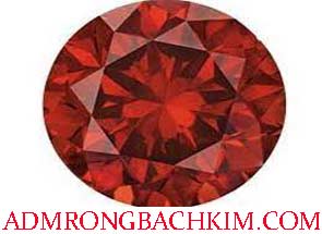 adm-rong-bach-kim-bach-thu-lo-do-215-295.jpg