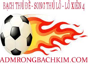 bach-thu-de-do-215-295.jpg