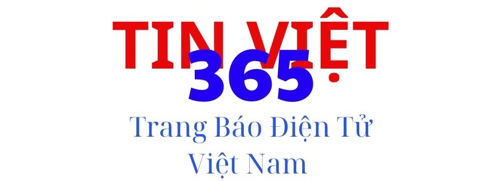 Tin Việt 356 - Trang Web Cập Nhật Tin Tức Điện Tử