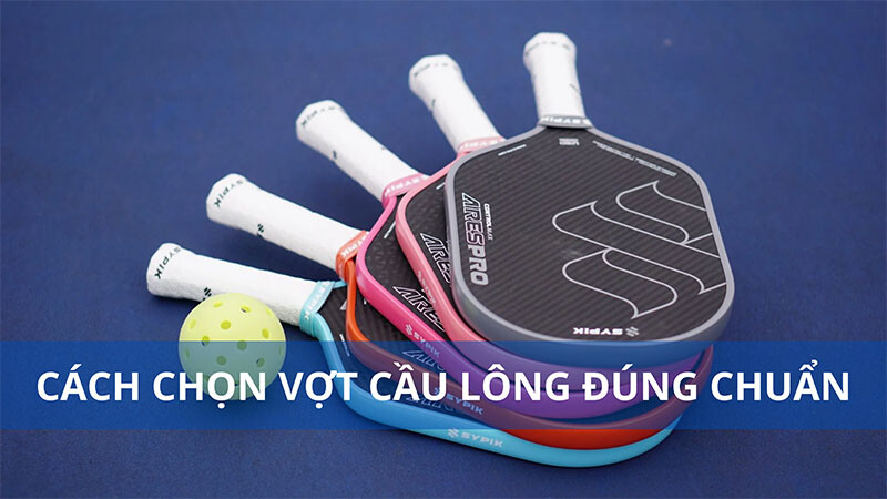 vot-pickleball-ha-noi26e3885b11c87a03.jpg