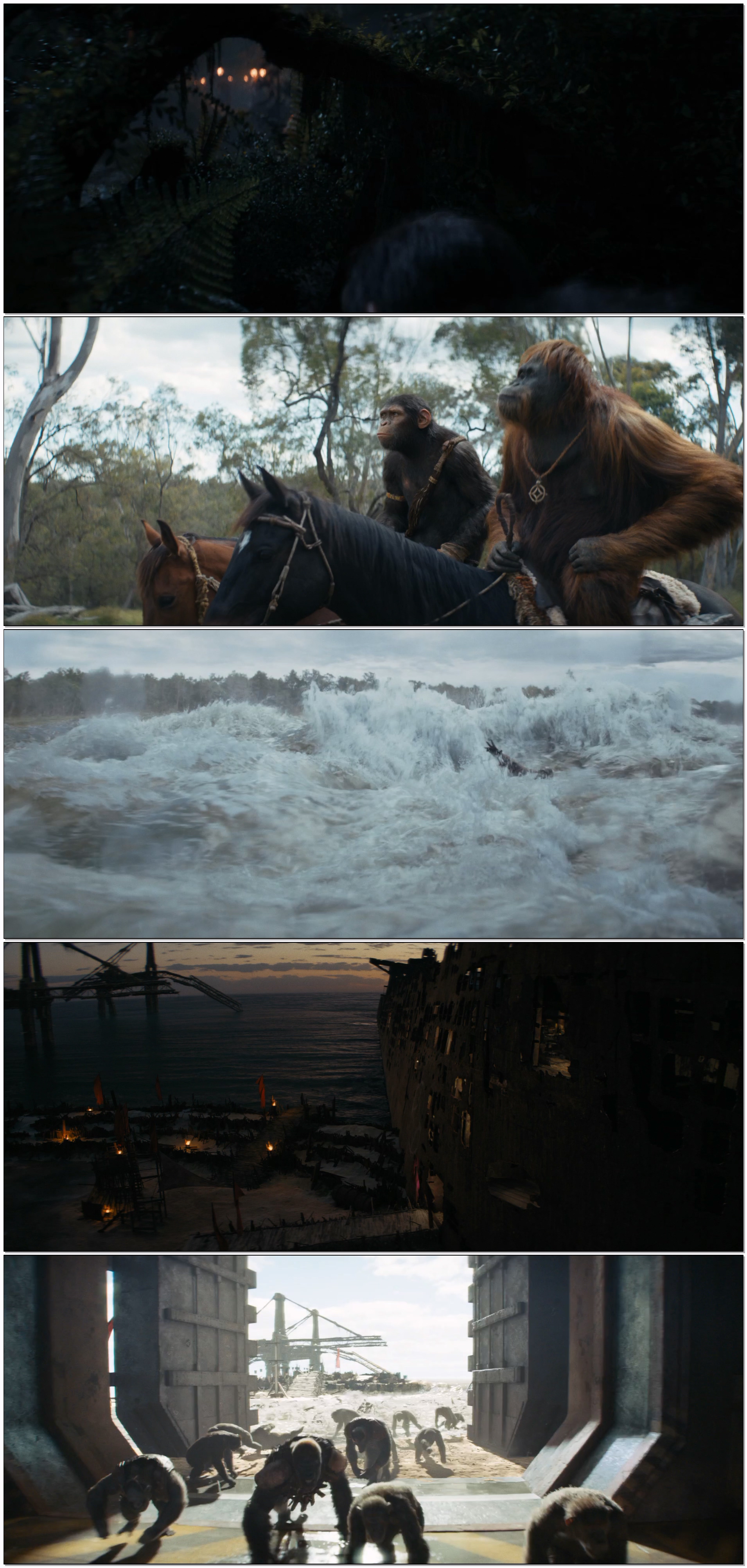 Kingdom.Of.The.Planet.Of.The.Apes.2024.1080p.WEB.h264-ETHEL.mkv.jpg