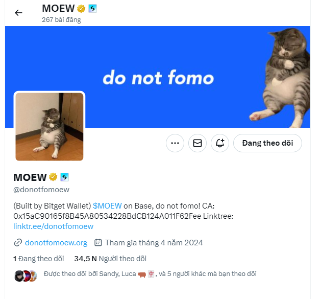 Screenshot-2024-08-08-12133641980430a7d2b05f.png
