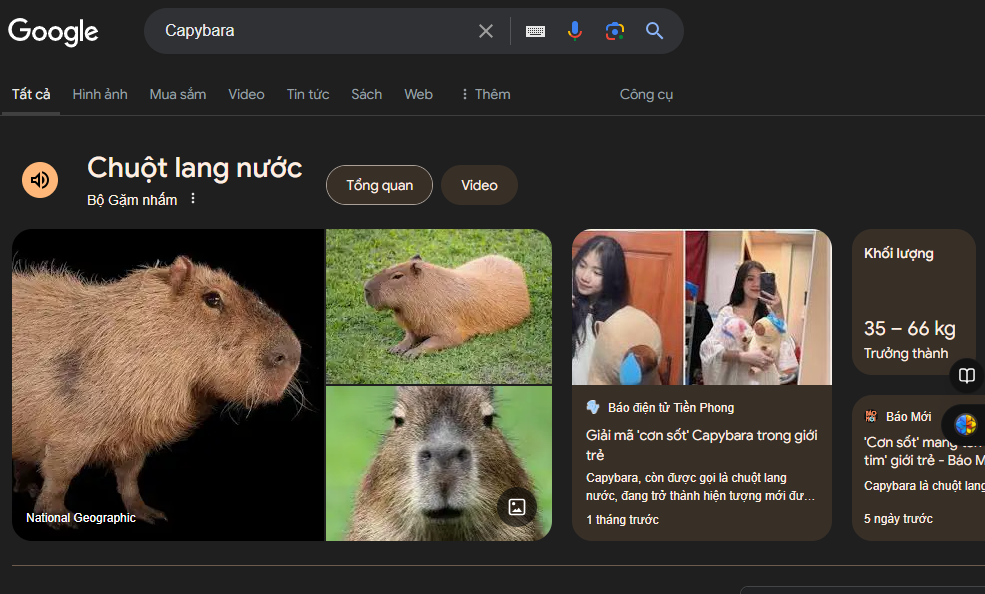 capi.png