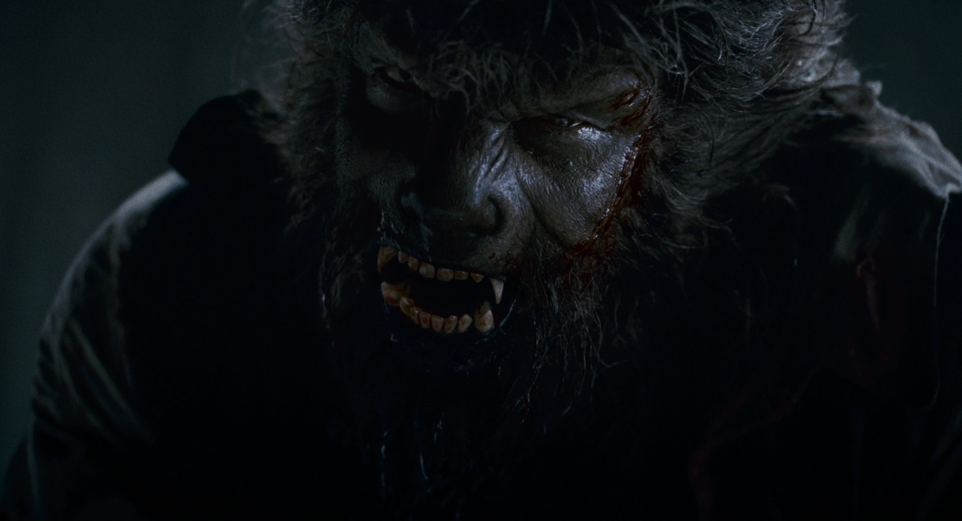 Vietsub-The-Wolfman-2010-Extended-DC-1080p-BluRay-DD5.1-x264-playHD.mkv_snapshot_01.48.22.121.jpg