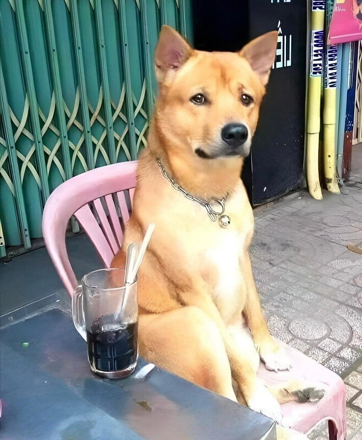 112.13220939c3e63c0ed.jpg