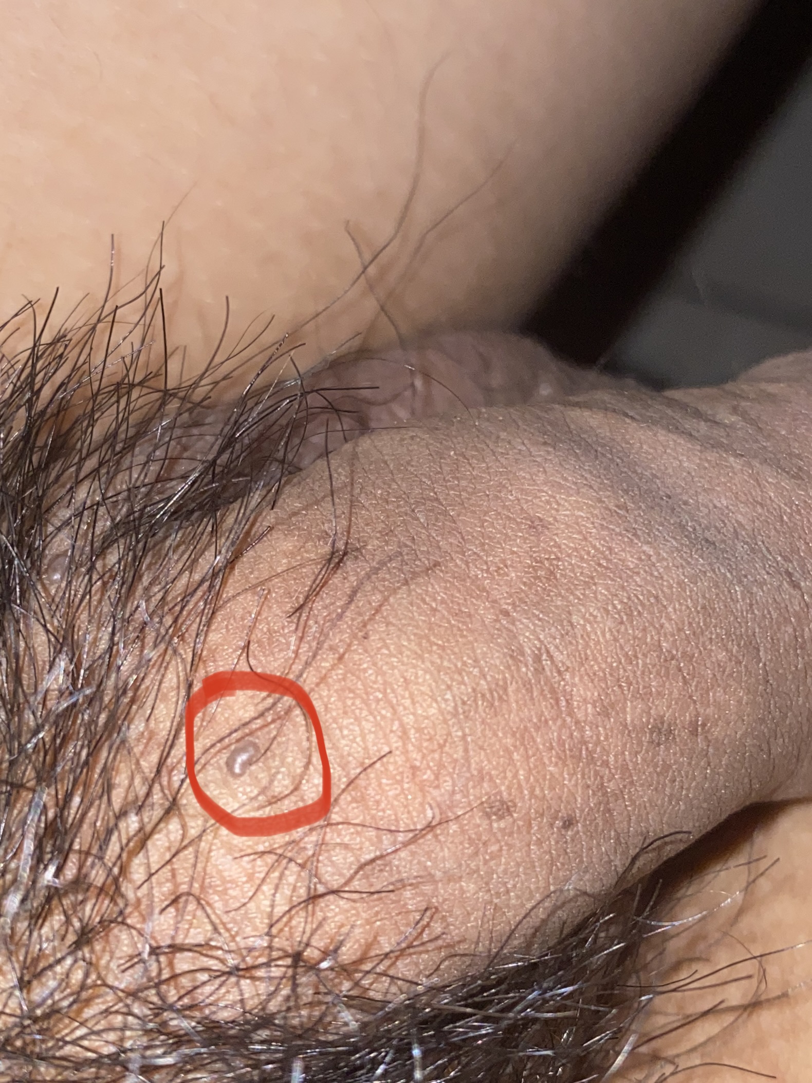 7E91DA53-FBA4-4783-886D-0E8ECB9A34F1.jpg