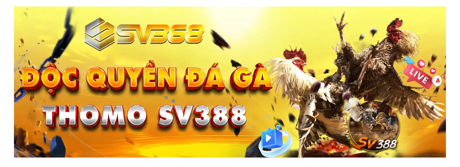 banner.webp (1920×697)