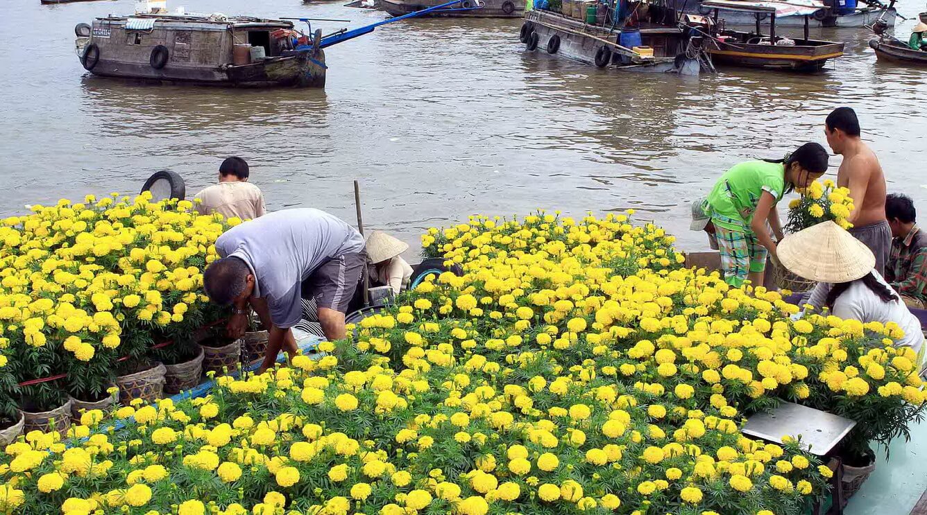 Thuyền hoa quả