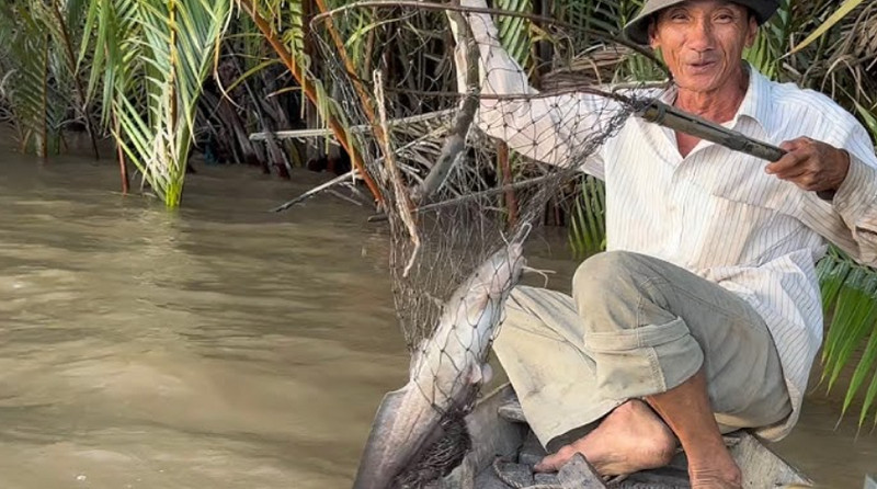 Câu cá và ăn tối trên tàu