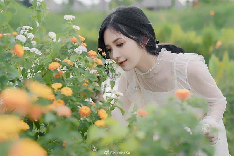 Lặn Chùa Trên Sông – Tâm Linh Miền Tây
