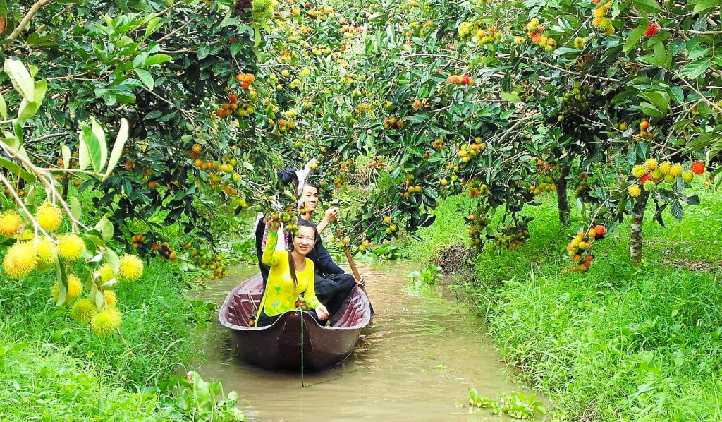 Tour Chợ nổi – Lò hủ tiếu – Lò kẹo dừa – Phim trường – Vườn trái cây