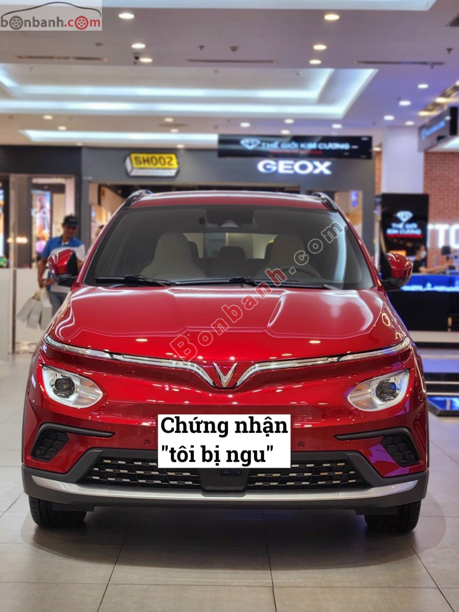 phonto.jpeg