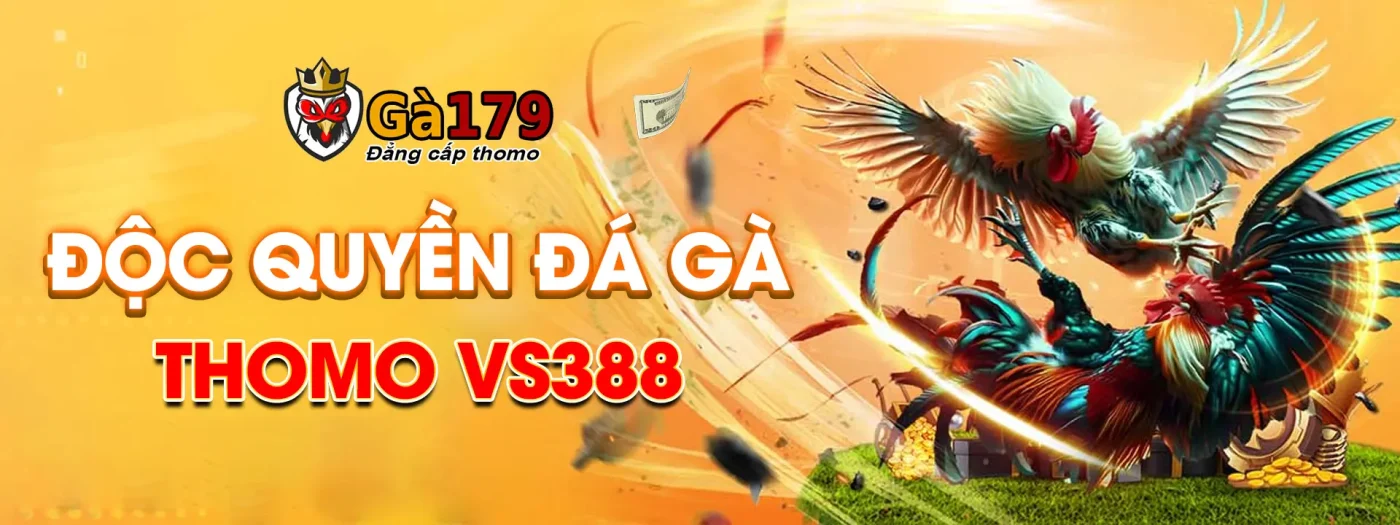 banner-84.webp (1400×525)