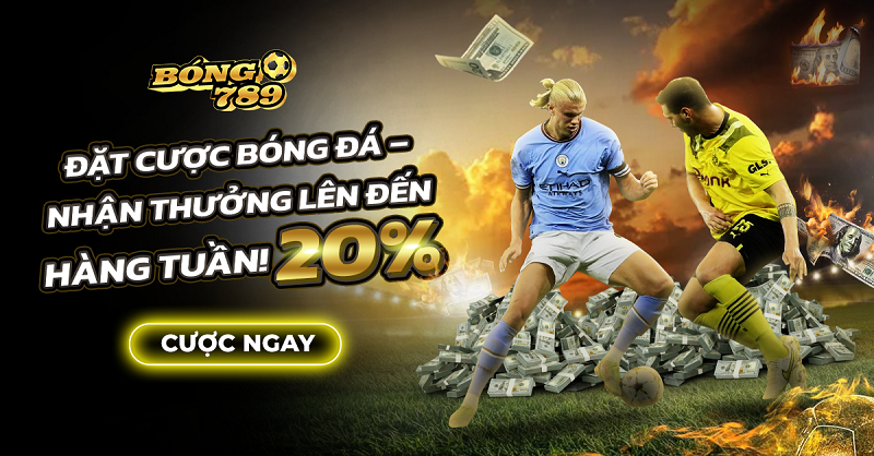 dat cuoc hang tuan 20%