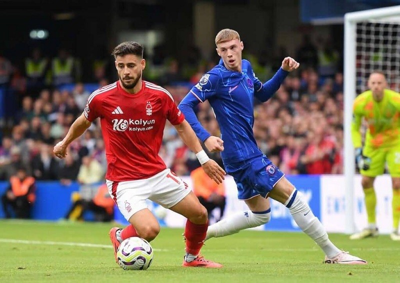 nhan dinh nottingham vs chelsea phong do