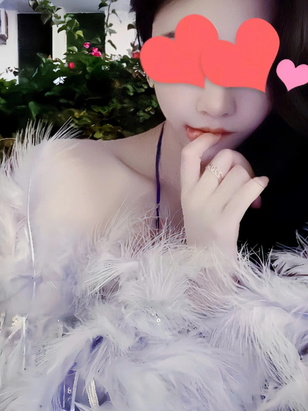 1230563.webp